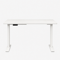 Bureau Électrique Réglable en Hauteur Double Moteur
